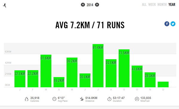 Nike+ 2014 log